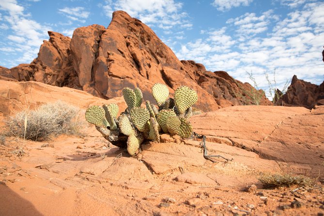 Valley of Fire and Lost City Museum Tour from Las Vegas - Morning Logistics: Pickup, Comfort, and What the Drive Adds