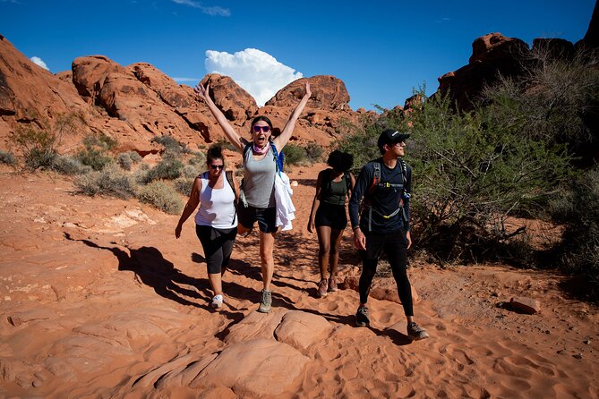 Valley of Fire Guided Hiking Tour and Mojave Desert Adventure - Key points before you go