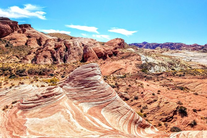 Valley of Fire Guided Hiking Tour From Las Vegas - Petrified Trees, Petroglyphs, and Movie-Set Details