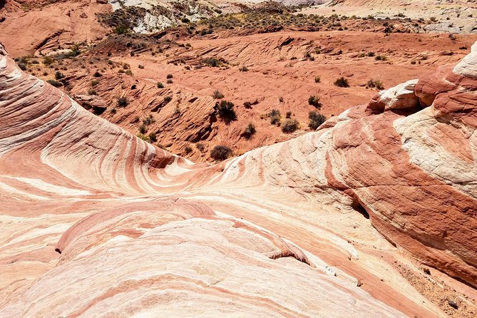 Valley of Fire Guided Hiking Tour From Las Vegas - What to Bring: Shoes, Sun, and the Desert Rules