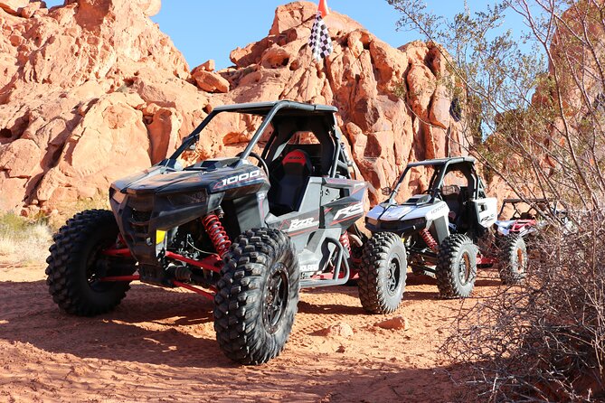 Valley of Fire Single Seater UTV Tour - Choosing your ride: single-seater fun with real machine options