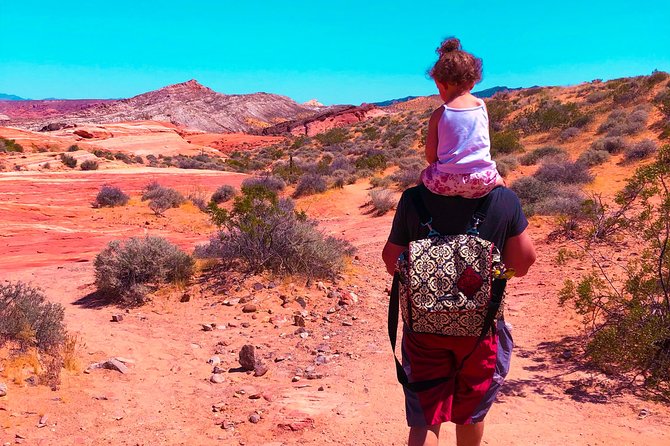 Valley of Fire State Park Day Tour from Las Vegas - What to Pack for the Desert: Sun, Water, and Small Snacks