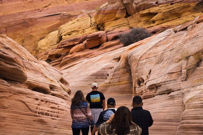 Valley of Fire Sunset Tour from Las Vegas - Who should book this tour (and who might prefer a DIY drive)