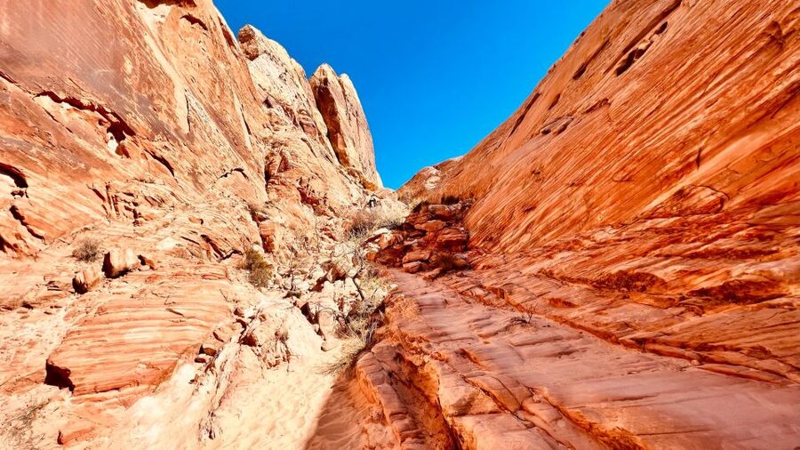 Valley of Fire VIP Small Group Tour From Las Vegas - Price and Value: Why $129 Can Make Sense (If You Want the Whole Day Done For You)