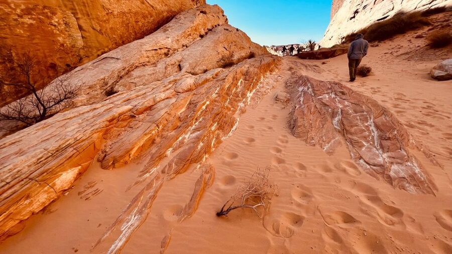 Valley of Fire VIP Small Group Tour From Las Vegas - Elephant Rock: The Big Finale Photo Stop