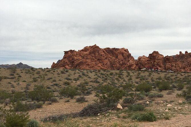 Valley of Fire & Zion Park, 1-Day Tour from Las Vegas - Comfort on the road: what the vehicle does for you