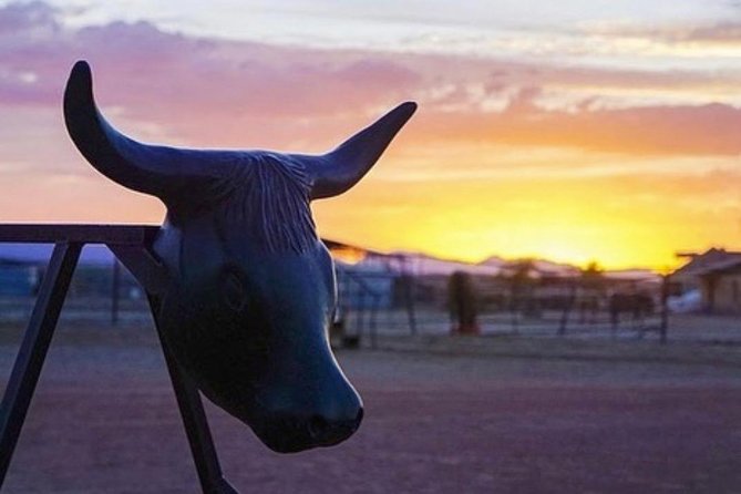 Wild West Sunset Horseback Ride with Dinner from Las Vegas - Campfire stargazing: the cowboy vibe, plus goats and bull photos