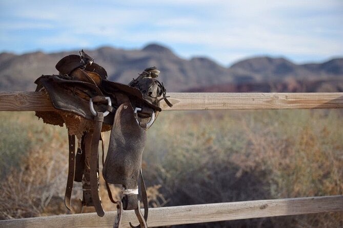 Wild West Sunset Horseback Ride with Dinner from Las Vegas - Meeting your horse: the calm, beginner-friendly wrangler setup