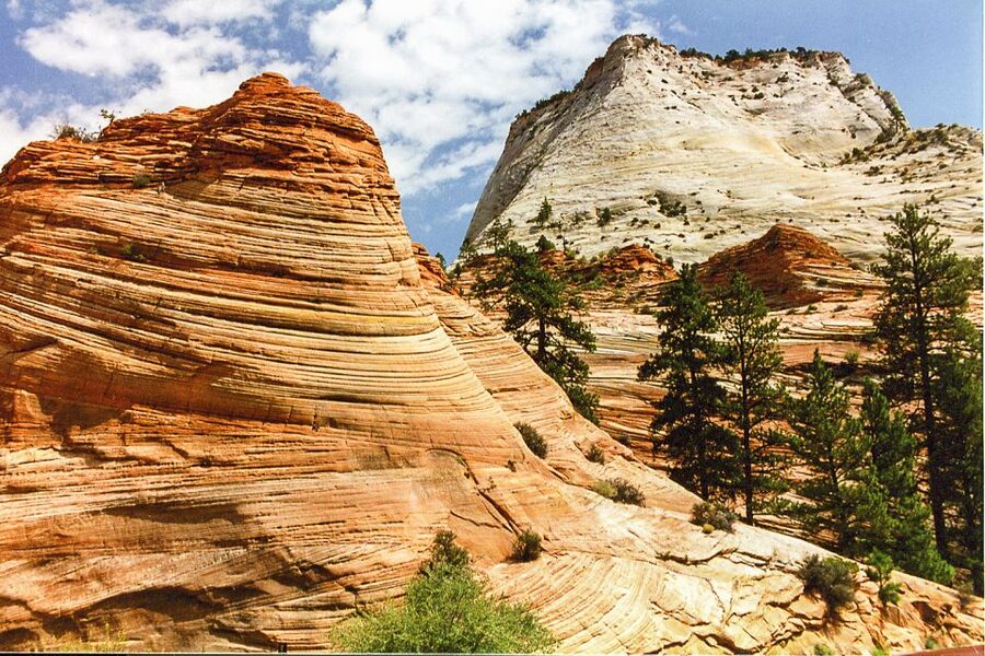 Zion National Park Small Group Adventure from Las Vegas - Photo stops and iconic sights: what you’ll likely look at in Zion