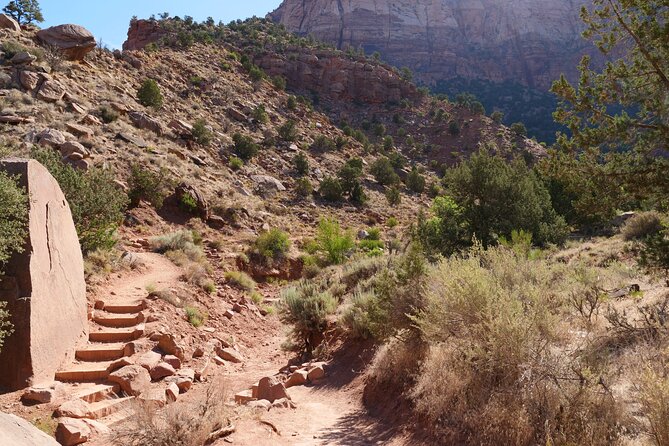Zion National Park Small Group Tour from Las Vegas - Using Zion’s shuttle like a pro (without stressing)