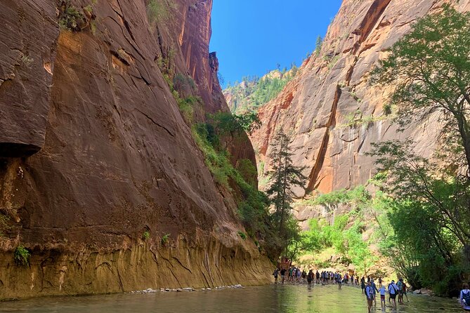 Zion National Park Small Group Tour from Las Vegas - Checkerboard Mesa: a quick stop with real geology payoff